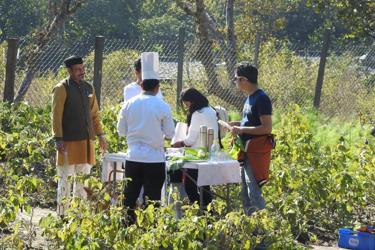 Paatlidun Safari Lodge, Jim Corbett Garjia Exteriér fotografie